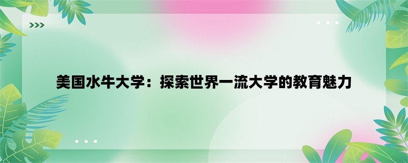 美国水牛大学：探索世界一流大学的教育魅力