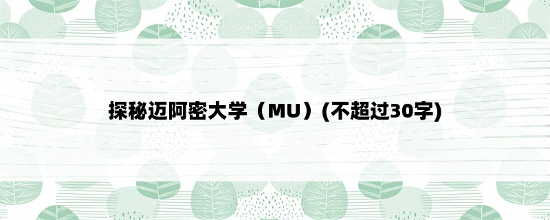 探秘迈阿密大学（MU）