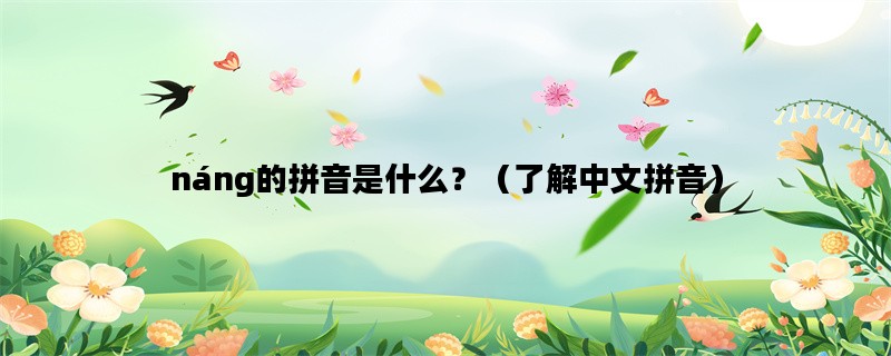 náng的拼音是什么？（了解中文拼音）