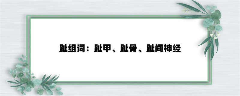 趾组词：趾甲、趾骨、趾间神经