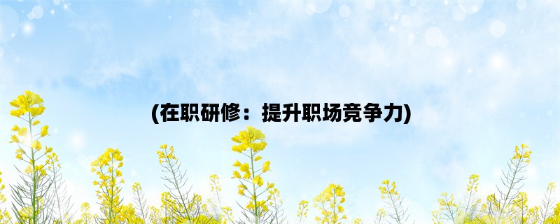 (在职研修：提升职场竞争力)