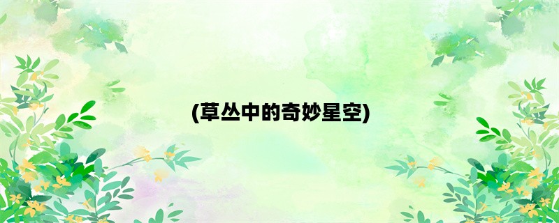 (草丛中的奇妙星空)