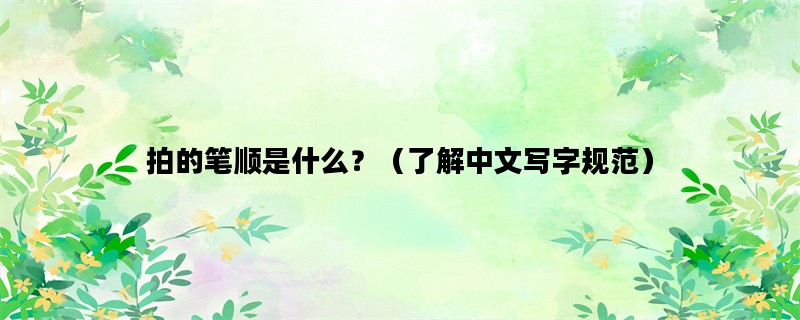 拍的笔顺是什么？（了解