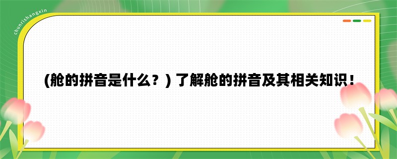 (舱的拼音是什么？) 了解舱的拼音及其相关知识！