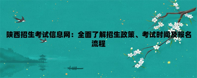 陕西招生考试信息网：全面了解招生政策、考试时间及报名流程