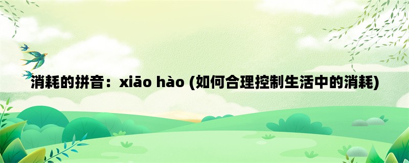 消耗的拼音：xiāo hào 