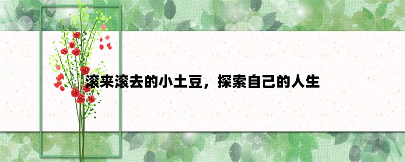 滚来滚去的小土豆，探索自己的人生