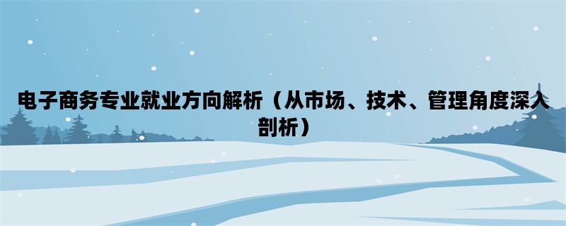 电子商务专业就业方向解析（从市场、技术、管理角度深入剖析）