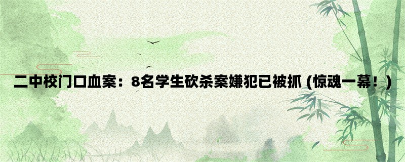 二中校门口血案：8名学生砍杀案嫌犯已被抓 (惊魂一幕！)