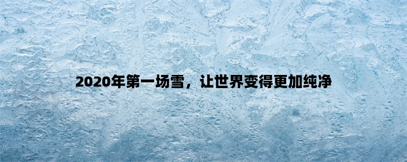 2020年第一场雪，让世界变得更加纯净