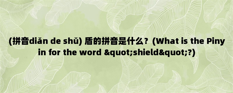 (拼音diǎn de shǔ) 盾的拼音是什么？(What is the Pinyin for the word "shield"?)