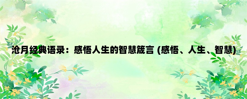 沧月经典语录：感悟人生