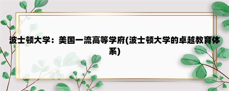 波士顿大学：美国一流高等学府(波士顿大学的卓越教育体系)