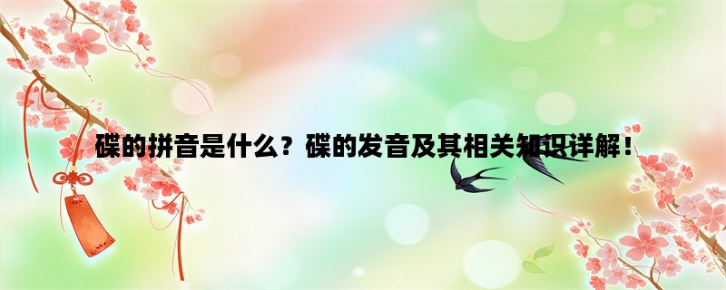 碟的拼音是什么？碟的发音及其相关知识详解！