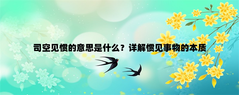 司空见惯的意思是什么？