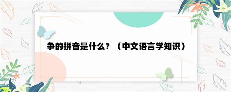 争的拼音是什么？（中文语言学知识）