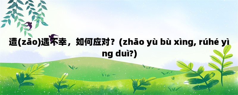 遭(zāo)遇不幸，如何应对？(zhāo yù bù xìng, rúhé yìng duì?)