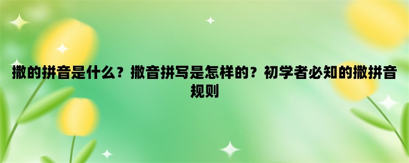 撒的拼音是什么？撒音拼写是怎样的？初学者必知的撒拼音规则