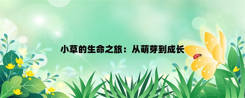 小草的生命之旅：从萌芽到成长