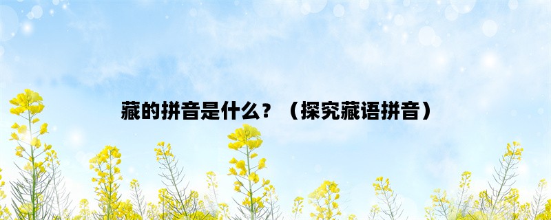 藏的拼音是什么？（探究藏语拼音）