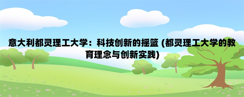 意大利都灵理工大学：科