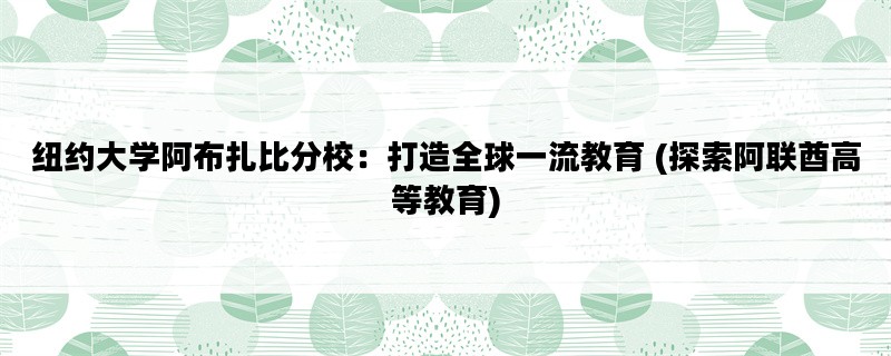 纽约大学阿布扎比分校：打造全球一流教育 (探索阿联酋高等教育)