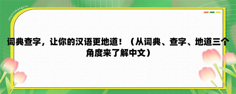 词典查字，让你的汉语更地道！（从词典、查字、地道三个角度来了解中文）