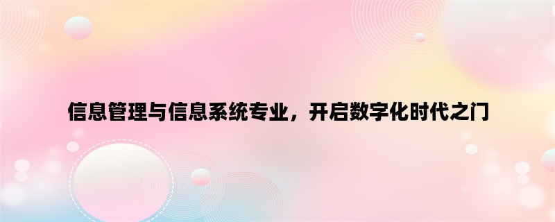 信息管理与信息系统专业