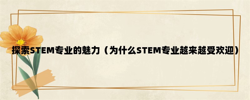 探索STEM专业的魅力（为