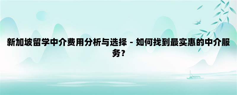 新加坡留学中介费用分析与选择 - 如何找到最实惠的中介服务？