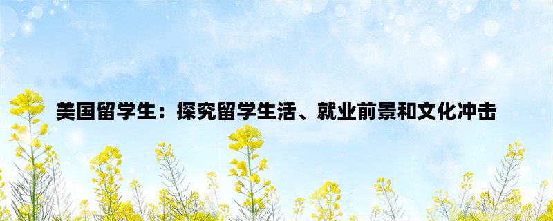 美国留学生：探究留学生活、就业前景和文化冲击