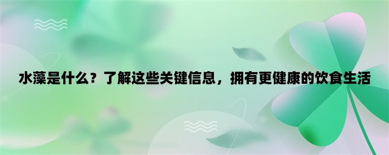 水藻是什么？了解这些关键信息，拥有更健康的饮食生活