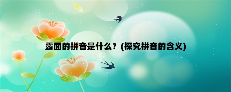 露面的拼音是什么？(探究拼音的含义)