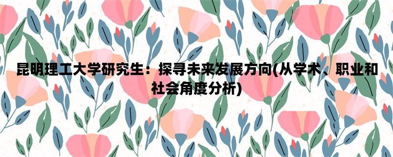 昆明理工大学研究生：探寻未来发展方向(从学术、职业和社会角度分析)