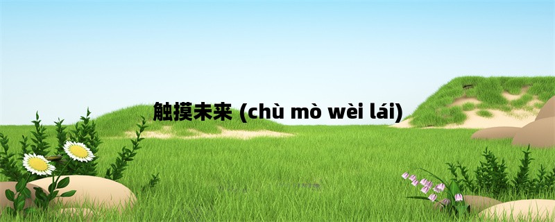 触摸未来 (chù mò wèi lái)