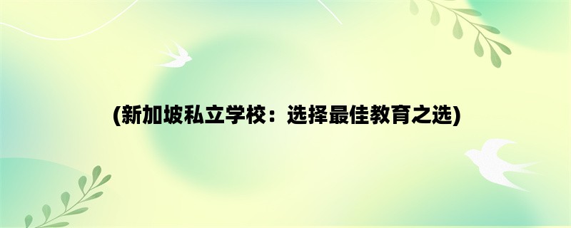 (新加坡私立学校：选择最佳教育之选)