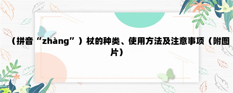 （拼音“zhàng”）杖的种类、使用方法及注意事项（附图片）