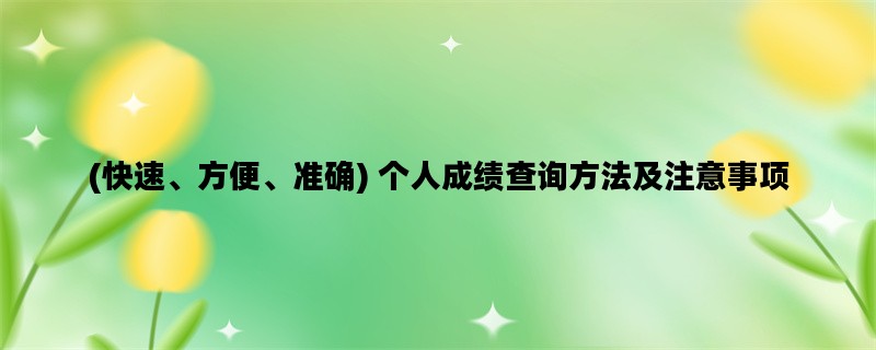 (快速、方便、准确) 个人成绩查询方法及注意事项