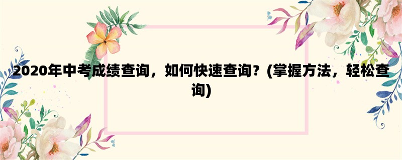 2020年中考成绩查询，如何快速查询？(掌握方法，轻松查询)