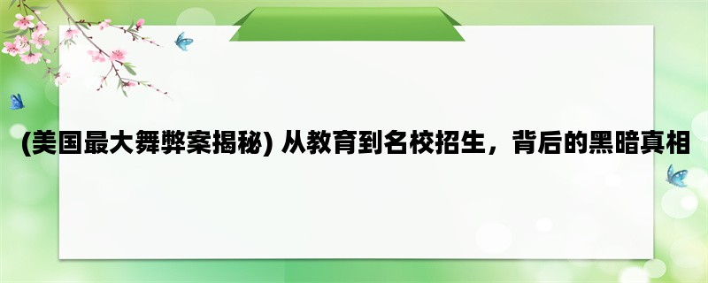 (美国最大舞弊案揭秘)