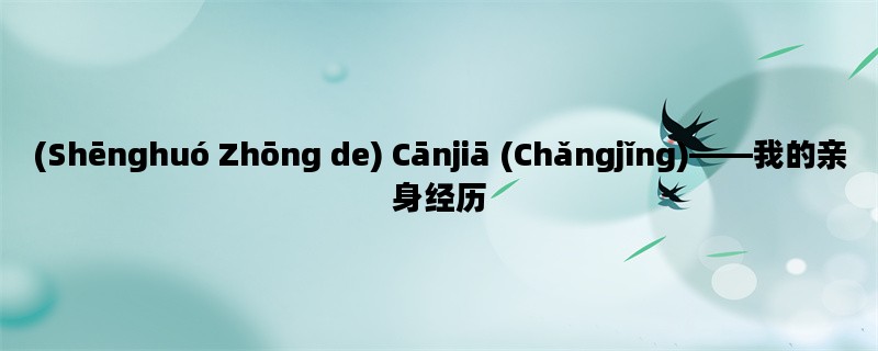 (Shēnghuó Zhōng de) Cānjiā (Chǎngjǐng)——我的亲身经历