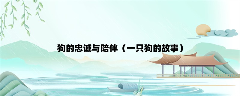 狗的忠诚与陪伴（一只狗