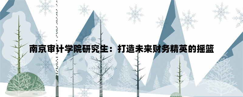 南京审计学院研究生：打造未来财务精英的摇篮