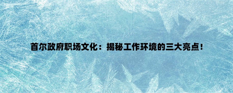 首尔政府职场文化：揭秘工作环境的三大亮点！