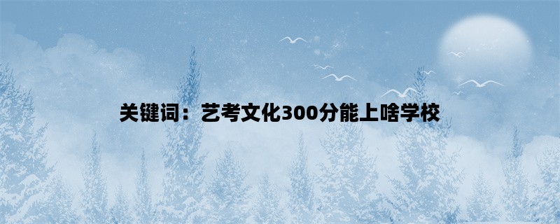 关键词：艺考文化300分能上啥学校