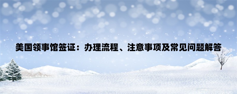 美国领事馆签证：办理流程、注意事项及常见问题解答