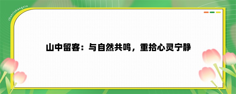 山中留客：与自然共鸣，