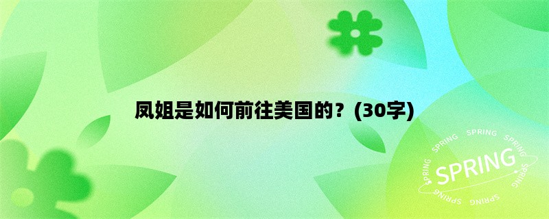 凤姐是如何前往美国的？(30字)