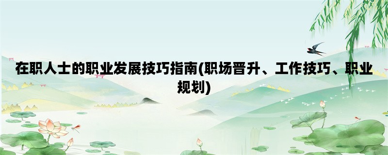 在职人士的职业发展技巧指南(职场晋升、工作技巧、职业规划)