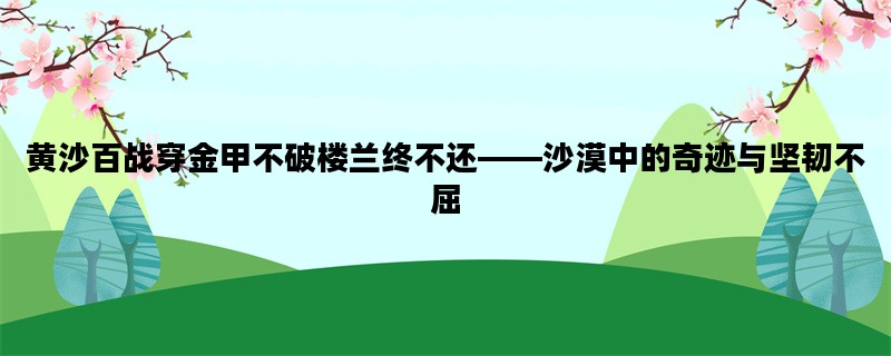 黄沙百战穿金甲不破楼兰终不还——沙漠中的奇迹与坚韧不屈